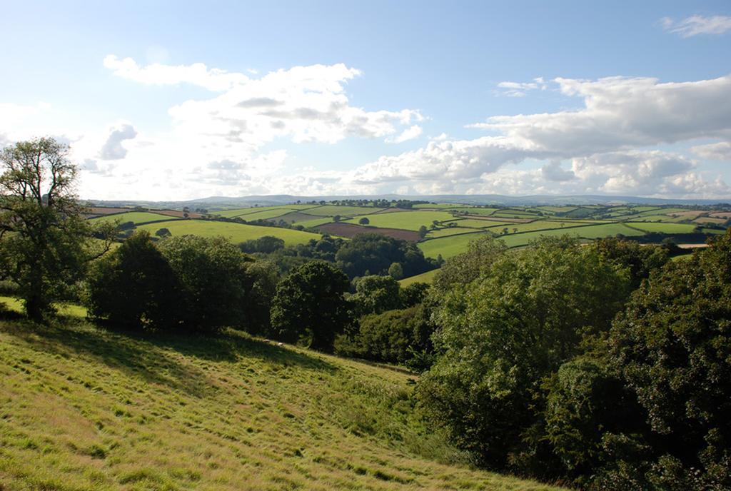 Kerswell Farmhouse Totnes Zewnętrze zdjęcie
