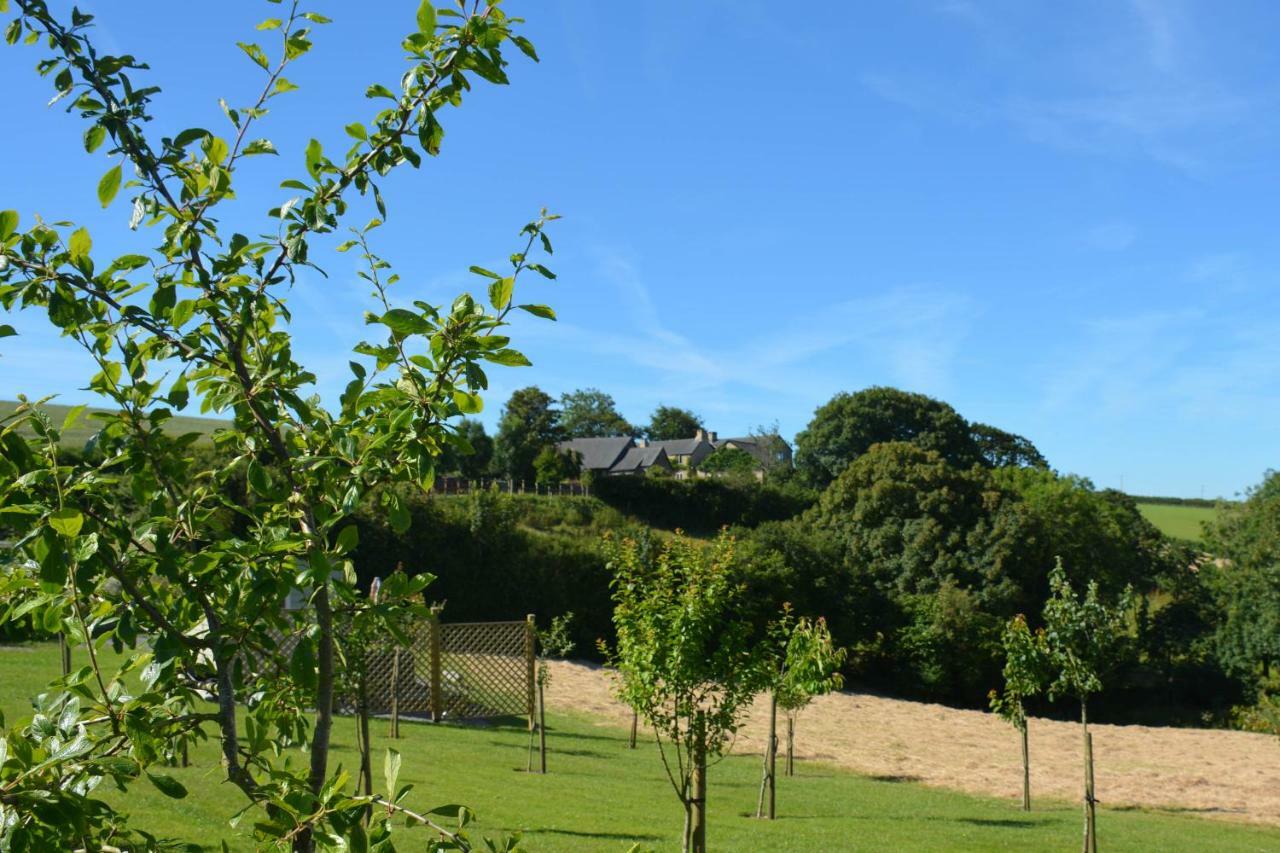 Kerswell Farmhouse Totnes Zewnętrze zdjęcie